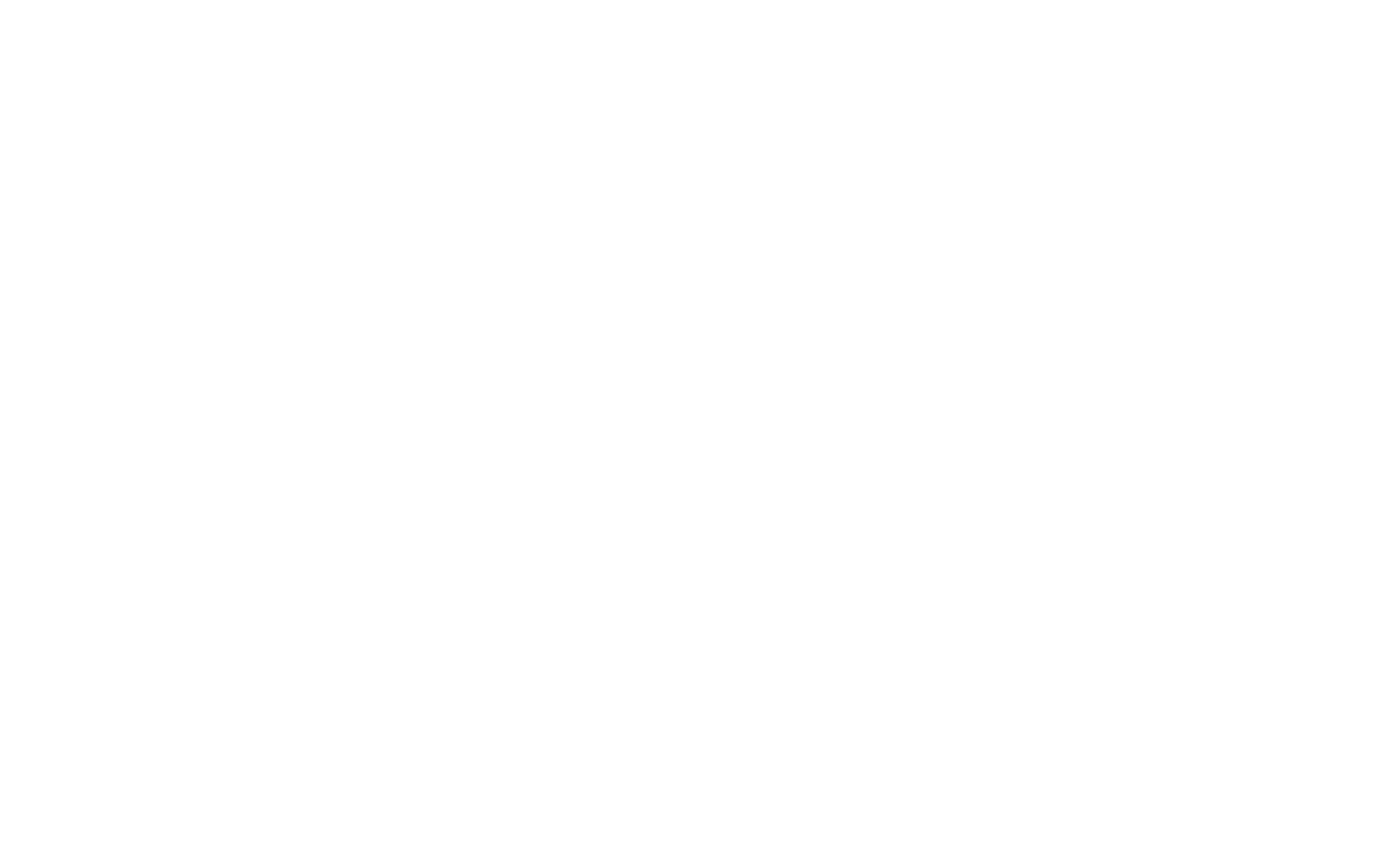 Consiglio Nazionale Giovani