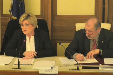 Calderone Audizione Senato