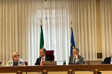 Audizione Calderone Sicurezza