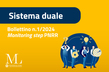 Sistema Duale Pnrr