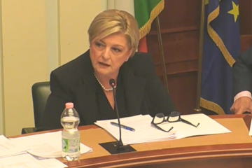 Calderone Audizione Senato