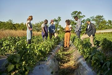 Integrazione agricoltura
