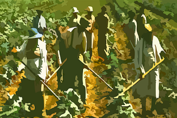 Call buone pratiche lotta caporalato