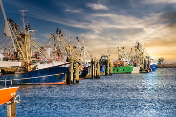 Fermo Pesca 2021 proroga 360x240