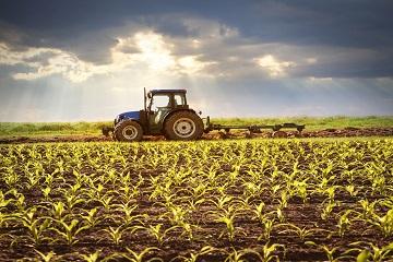 Lavori agricoli 360 240