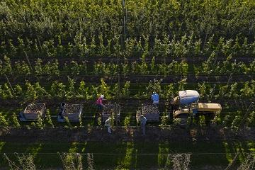 Lavoro agricoltura 360x240