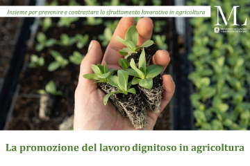 Lavoro dignitoso 360x240