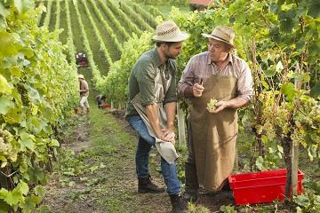 Voucher correttivo 360x240