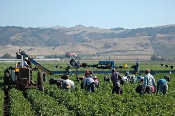 Caporalato Calderone360x240 png