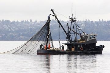 pescatori 360 240