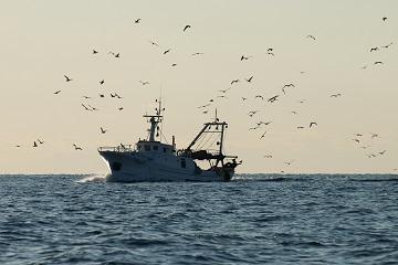 pescatori barca 360x240